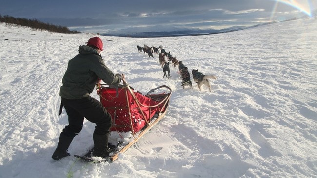 Ingunn Holøymoen foran Femundløpet (Foto: Joar Elgåen, NRK) Ingunn Holøymoen foran Femundløpet (Foto: Joar Elgåen, NRK)