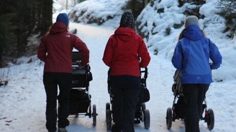 Trilletur, bilde bakfra (Foto: Kamilla Pedersen/NRK)