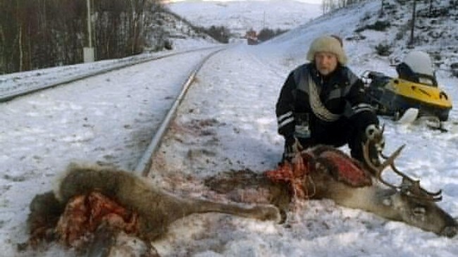 Olof Anders Kuhmunen med påkjørt rein (Foto: Olof Anders Kuhmunen)