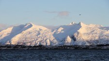 Fjellene på Vega (Foto: Therese Grimstad Pisani/NRK)