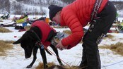Birgitte Næss Wærner - Birgitte Næss Wærner, Finnmarksløpet 1000-kilometer.