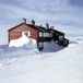 Rauhelleren