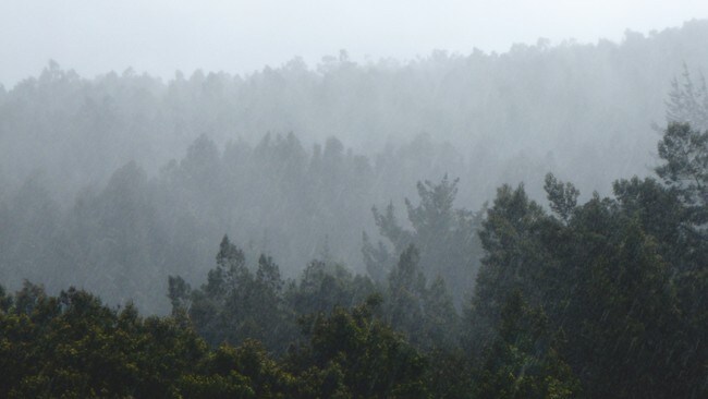 regn over skog (Foto: 2kS4/Flickr) regn over skog (Foto: 2kS4/Flickr)