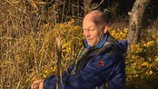 Strendene gror igjen - Strendene langs Oslofjorden gror igjen. Kratt og villnis stenger tilgangen til naturperlene, og nå skal Miljøverndepartementet evaluere dagens ryddejobb. 