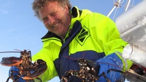 "Den leiken den ville han sjå": Kystfiskerne 1:8