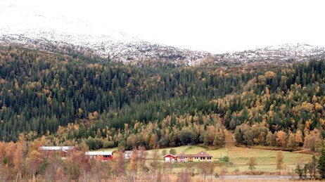 Gjertrud Mikalsens hus i Naustbukta (Foto: NTV) Gjertrud Mikalsens hus i Naustbukta (Foto: NTV)