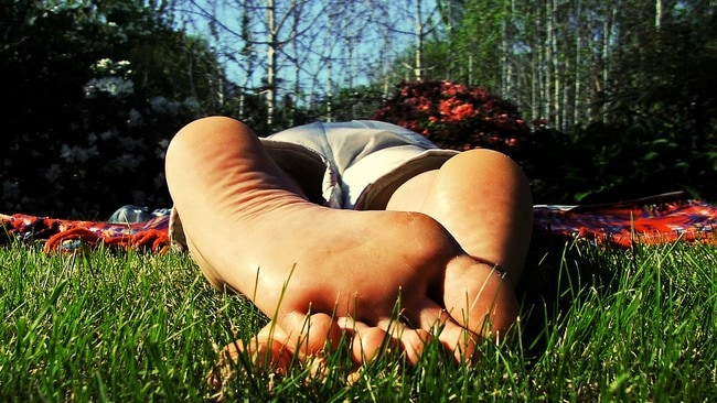 Slappe av i solen (Foto: Flickr_scottog) Slappe av i solen (Foto: Flickr_scottog)