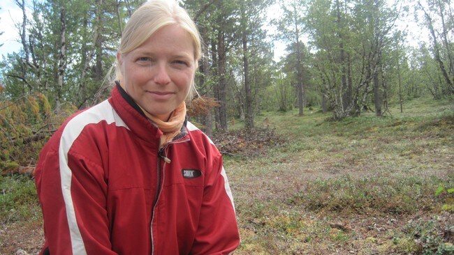 NORUT-forsker Ingunn Ims Vistnes (Foto: Mika Saijets/NRK)