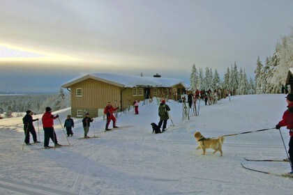 Lageråkvisla