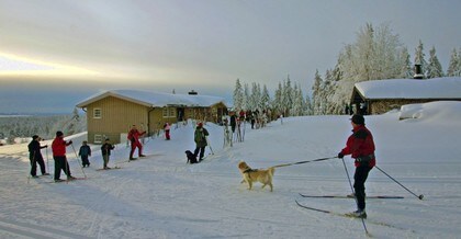 Lageråkvisla