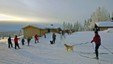 Lageråkvisla