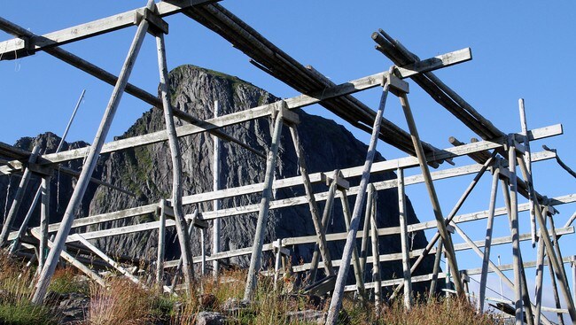 Fiskehjell, Hamnøy i Lofoten, foto Øivind Haugen /NRK (Foto: Øivind Haugen / NRK)