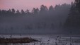Høst ved Skogstjernet. Foto: Steinar Østli