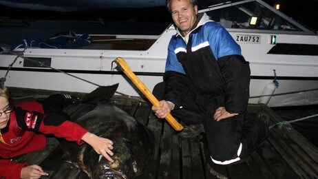 Vegard Kristensen (Foto: Privat) Vegard Kristensen (Foto: Privat)