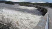 Død mann funnet i Glomma - En død mann ble funnet i Glomma, en kilometer sør for Skjefstadfossen i Elverum, fredag ettermiddag. Ingen personer i området er meldt savnet og dødsfallet etterforskes som mistenkelig.