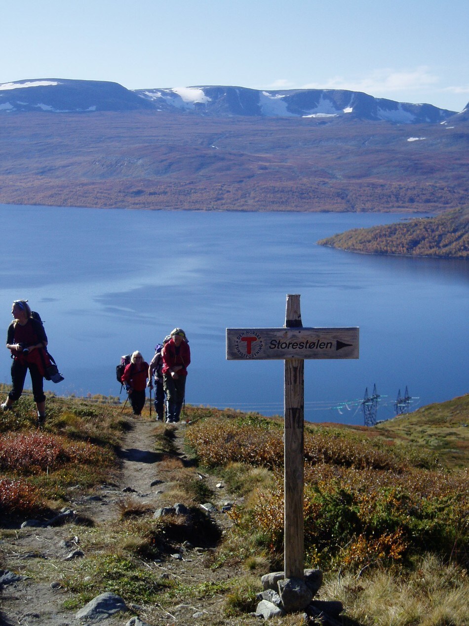 Utsikt i Skarvheimen