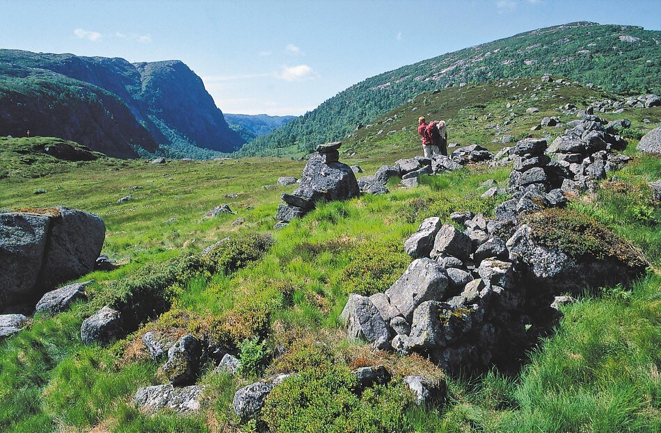 Gamle hustufter på Støle. I bakgrunnen Kvitladalen