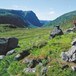 Gamle hustufter på Støle. I bakgrunnen Kvitladalen
