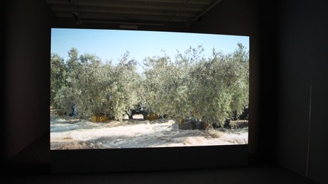 Sigalit Landau: videoen 'Four Etered the Grove' fra 'Olives' (2012). (Foto: Nina Skurtveit/NRK) Sigalit Landau: videoen 'Four Etered the Grove' fra 'Olives' (2012). (Foto: Nina Skurtveit/NRK)
