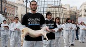 Dyrevernaksjon i Madrid