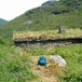 Skogadalsbøen