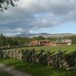 Sommer 2011 - Like ved svenskegrensa