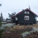 Selsli