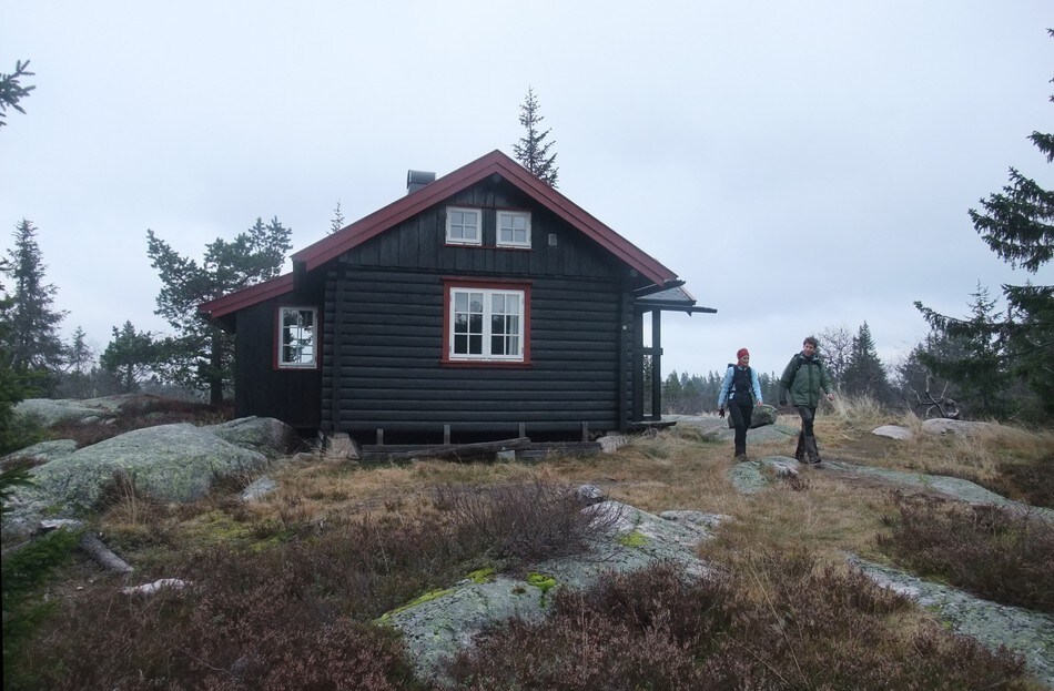 Selsli