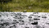 Regn (Foto: Jens O. Kvale/Scanpix)