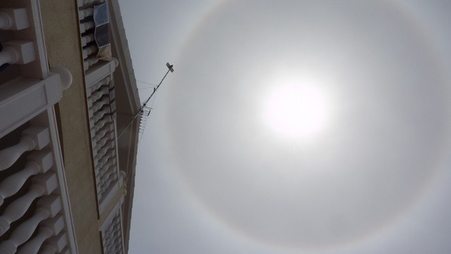 Halo (Foto: Per Rognan)