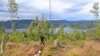 På vei opp til Fyrandflaget. Når man kommer opp lia er det fin utsikt mot Krøderfjorden og gårdene på østsiden.