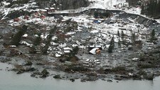 Kattmarka (Foto: NRK) Kattmarka (Foto: NRK)