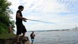 Obligatorisk fiskekort for sjøfiske