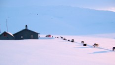 Muorkihytta