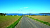 Det grønnes i Mosvika
