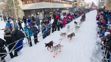 Finnmarksløpet - starten 2013 (Foto: Knut-Sverre Horn)