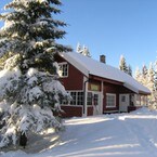 Fjellvang