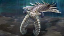 Monsterreka Anomalocaris (Foto: Katrina Kenny (Illustrasjon)/University of Adelaide)