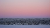 Naturen på Finnmarksvidda