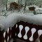 Kong vinter har besøkt Valdres Kong vinter har besøkt Valdres