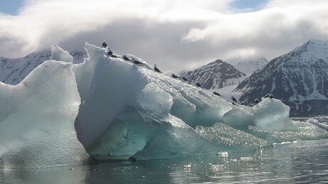 Svalbard (Foto: Sylvi Inez Liljegren/NRK) Svalbard (Foto: Sylvi Inez Liljegren/NRK)