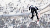 Romøren i Planica