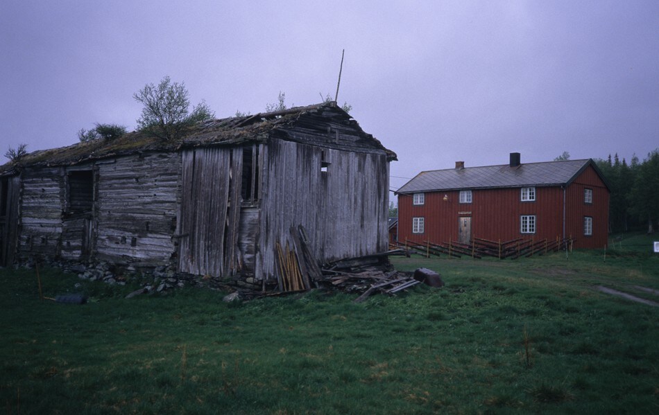 Bjørneggen