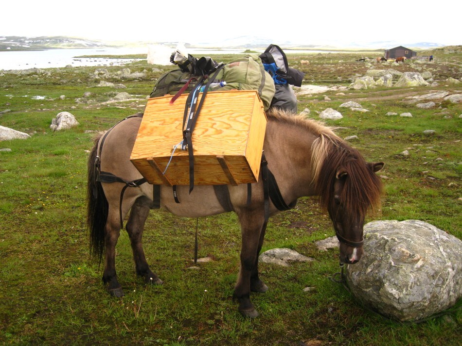 Hestetur til Sandhaug