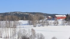 Skiløypa går fra Skatvedt og opp jordene til Bye.