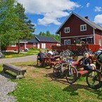 Bjørnholt