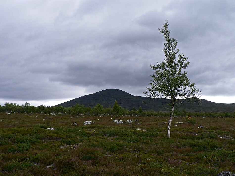 Store Svuku, sett fra stien oppom Svukuriset, sommer 2008.