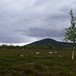 Store Svuku, sett fra stien oppom Svukuriset, sommer 2008.