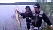 Motorsykkelgjedde