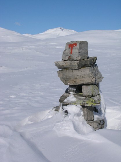 Bjørnhollia